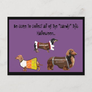 Funny Halloween Collect Candy Dogs Postcard
