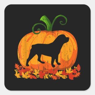 Funny Halloween Costume Rottweiler Dog Pumpkin Square Sticker