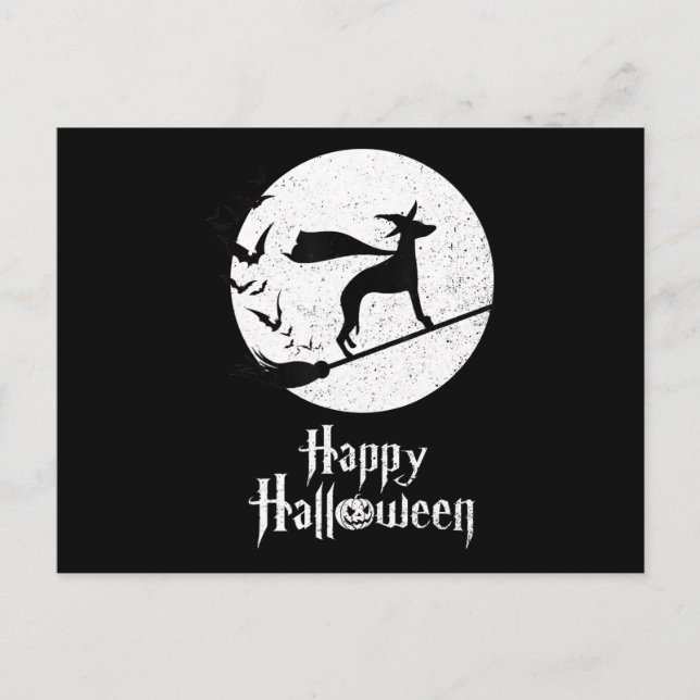 Funny Halloween Costume Witch WHIPPET Dog Lover Gi Holiday Postcard (Front)