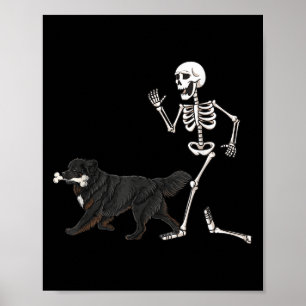 Funny Halloween Newfoundland And Skeleton  Poster