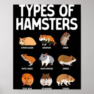 Funny Hamster Art For Men Women Boys Girls Hamster Poster