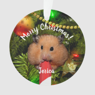Funny Hamster Eating Candy Cane Ornament