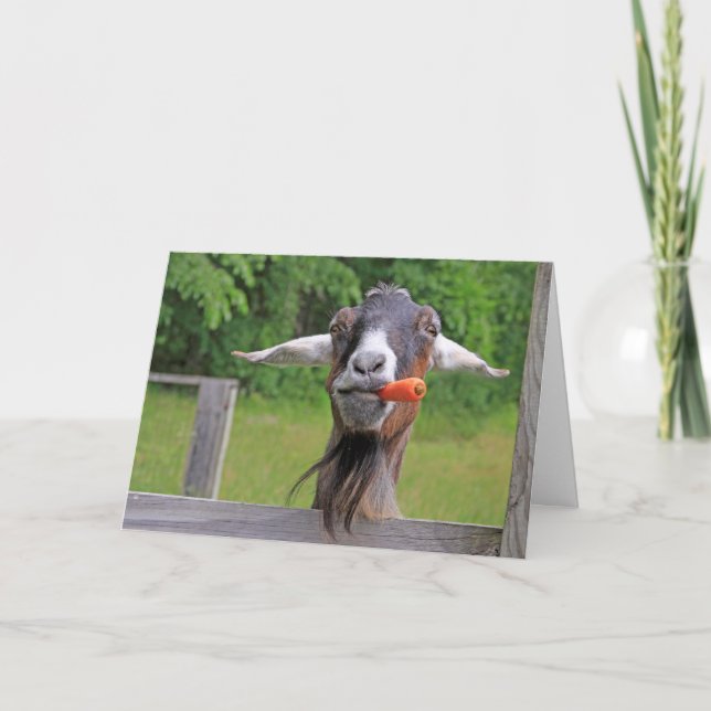 Funny Handsome Goat Father's Day Holiday Card (Front)