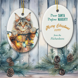 Funny Hanging Cat Define Naughty Christmas Ceramic Ornament