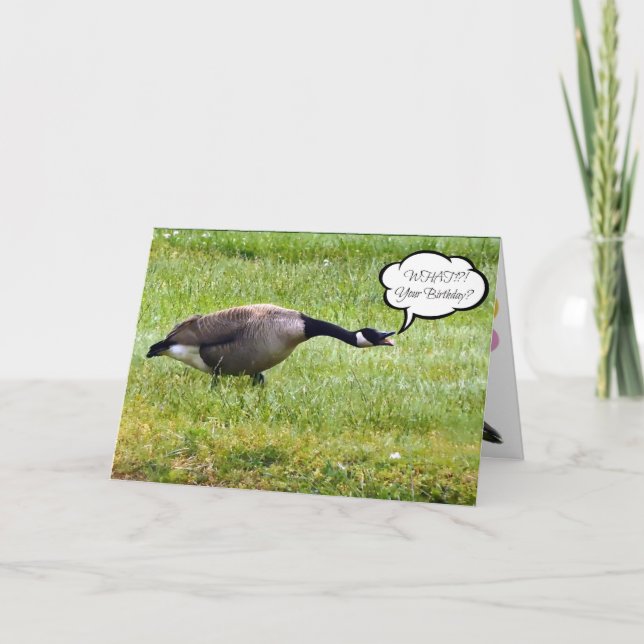 Funny Happy Belated Birthday Goose Card (Front)
