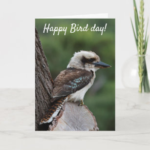 Funny Happy Bird Day Birthday Kookaburra Australia Card