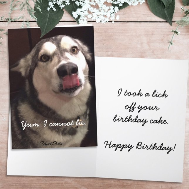 Funny Happy Birthday Alaskan Malamute Dog Card (Creator Uploaded)