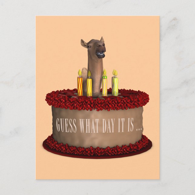 Funny Happy Birthday Camel Postcard (Front)