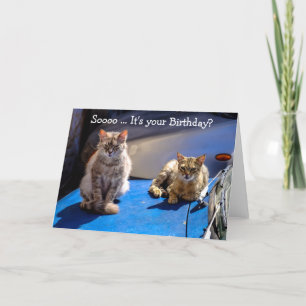 Funny Happy Birthday Card: Cats on a Car Card