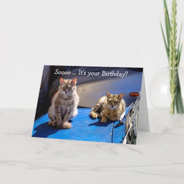 Funny Happy Birthday Card: Cats on a Car Card (Front)