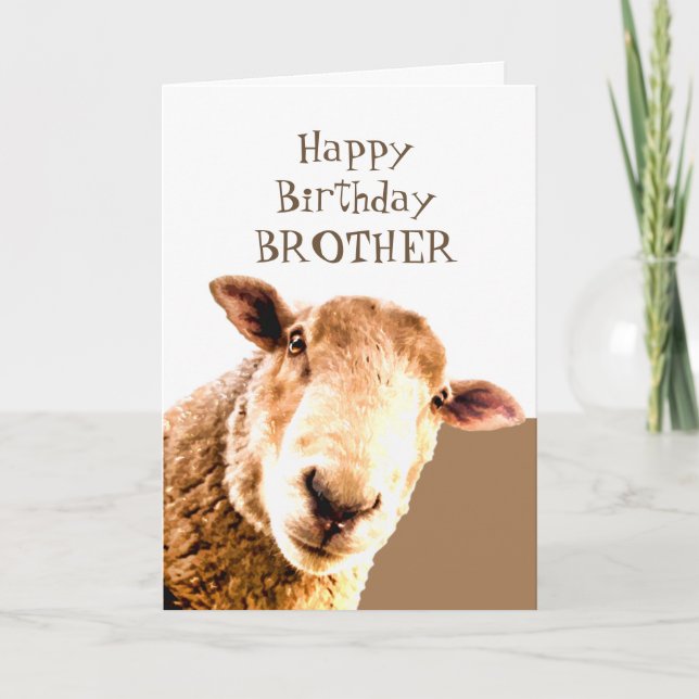 Funny Happy Birthday Ewe are BEST BROTHER EVER Card (Front)