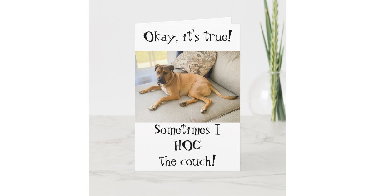 Funny Happy Birthday From the Dog Card | Zazzle