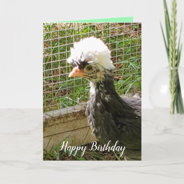 Funny Happy Birthday Polish Chicken Card (Front)