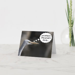 Funny Happy Birthday White Crane Bird Card
