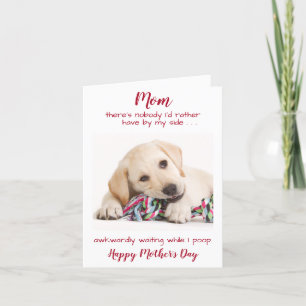 Funny Happy Mothers Day Pet Dog Photo Holiday Card