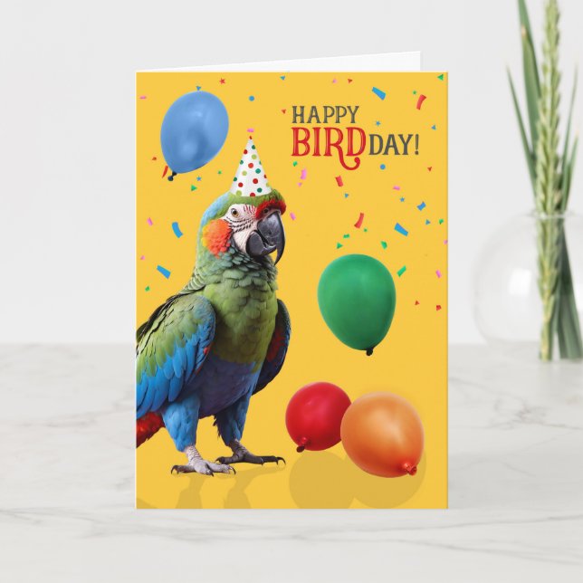 Funny Harlequin Macaw Parrot Birthday Card (Front)