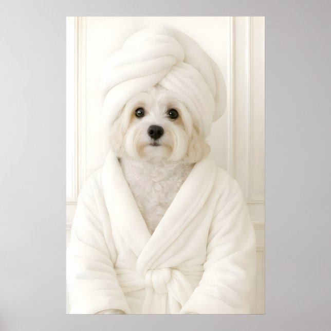 Funny Havanese Bathroom Print, Havanese In Poster (Front)