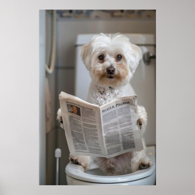 Funny Havanese Dog Print, Bathroom Newspaper Art Poster (Front)