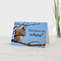 Funny Hawk Nature Photo Birthday
