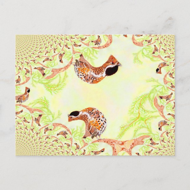 Funny Hazel Grouse Illustration Collage Postcard (Front)