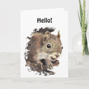 Funny Hello, Hi, with Cute Squirrel Animal Card