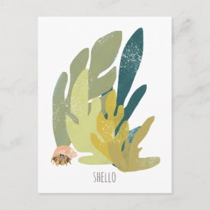 Funny Hermit Crab Hello Postcard