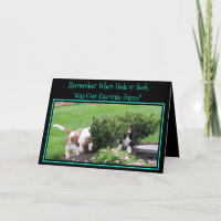 Funny "Hide & Seek" Birthday Card w/Bassets