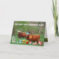 Funny Highland Steer Get Well