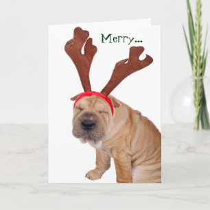 Funny Holiday Greetings from the Dog