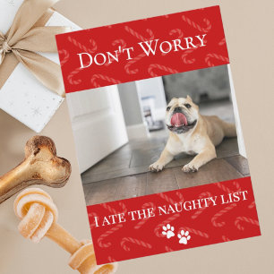 Funny Holiday Pet Holiday Card