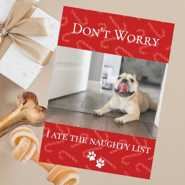 Funny Holiday Pet Holiday Card (Creator Uploaded)