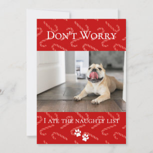Funny Holiday Pet Holiday Card