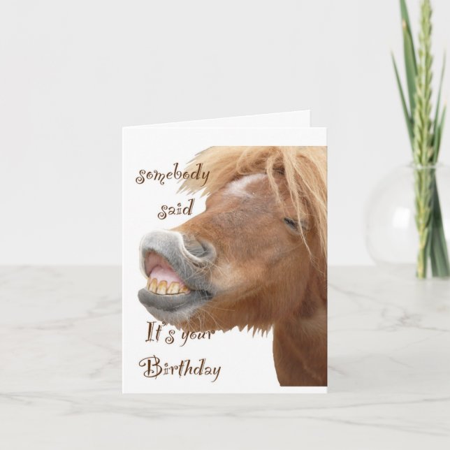 Funny Horse Birthday Card (Front)
