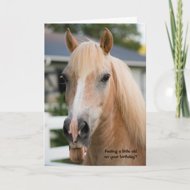 Funny Horse Birthday Card about Getting Old (Front)