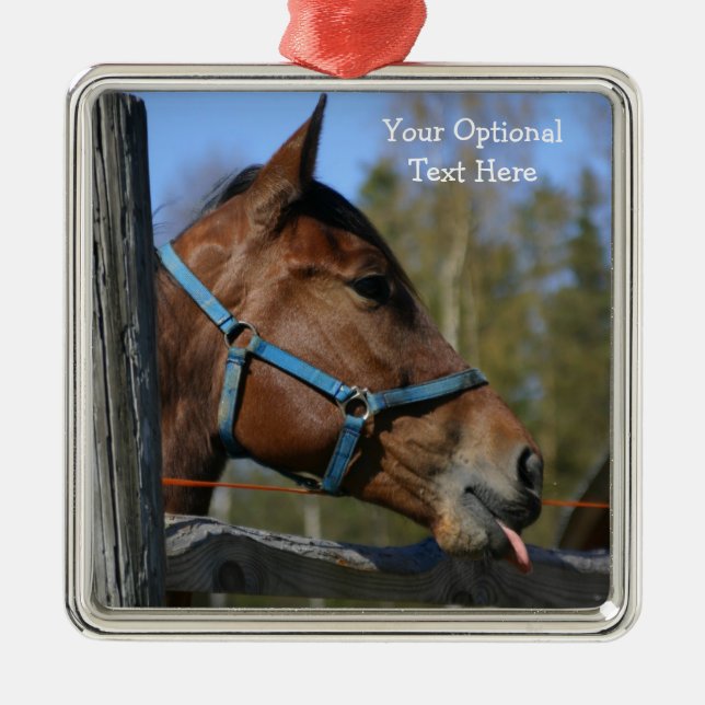 Funny Horse custom ornaments (Front)
