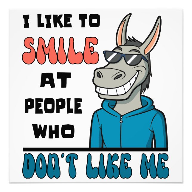 Funny Horse Donkey Smile At People Sarcastic Photo Print (Front)