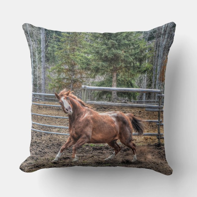 Funny Horse Equine Photo Design for Animal-lovers Cushion (Front)