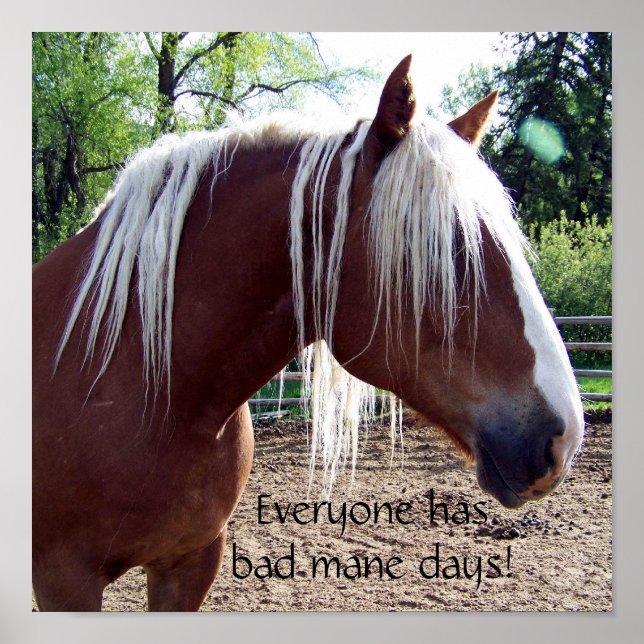 Funny Horse "Everyone Has Bad Mane Days" Poster (Front)