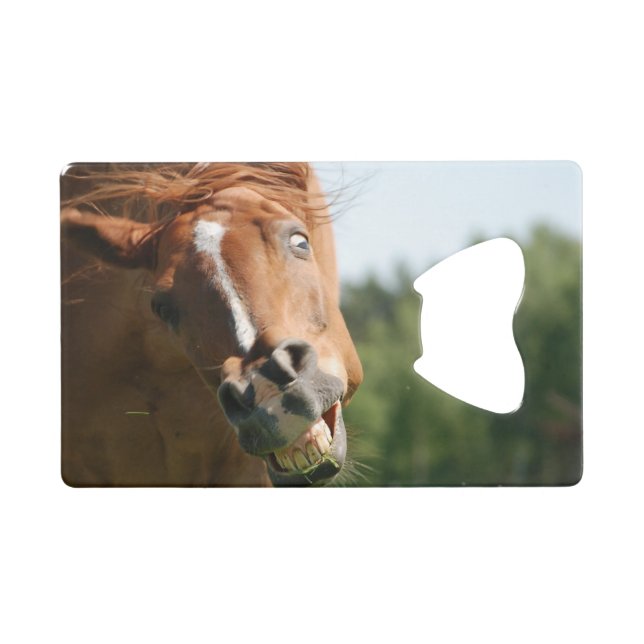 Funny Horse Face with Curled Lips, Crazy Eye (Front (Horizontal))