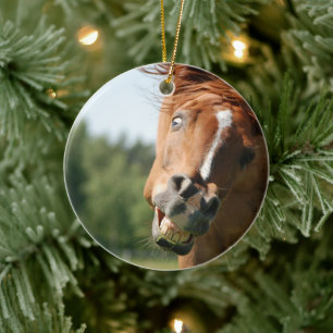 Funny Horse Face with Curled Lips, Crazy Eye Ceramic Ornament