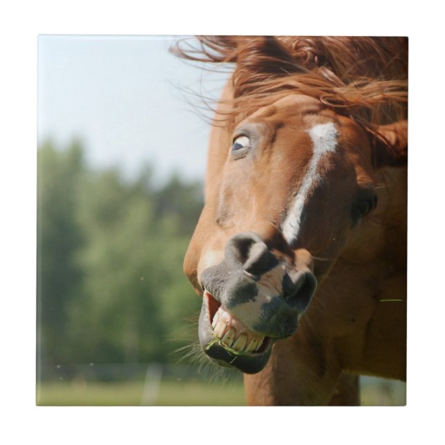 Funny Horse Face with Curled Lips, Crazy Eye Tile (Front)