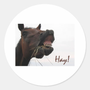 Funny Horse: Hay! Classic Round Sticker