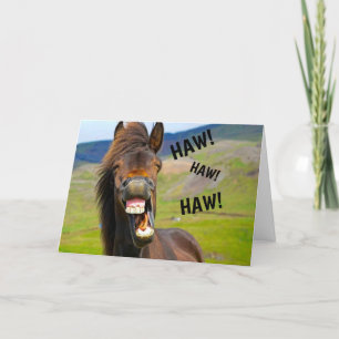 Funny Horse Humour Birthday Card