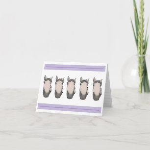 Funny Horse Lover 5 Snoots-5 Butts Reversible Thank You Card