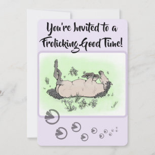 Funny Horse Lover Party Whimsical Floral Frolic Invitation