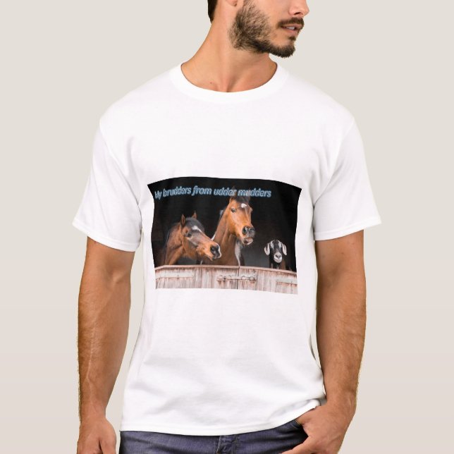 Funny Horse Memes Funny Horse Pictures Sayings T-Shirt (Front)
