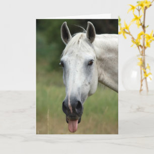 Funny Horse Pony Dont Forget the Laughter Standard Card