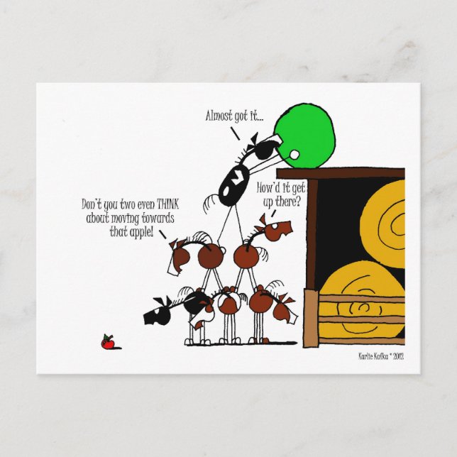 Funny Horse Pyramid Cartoon Postcard (Front)