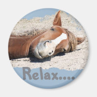 Funny Horse: Relax