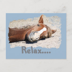 Funny Horse: Relax Postcard